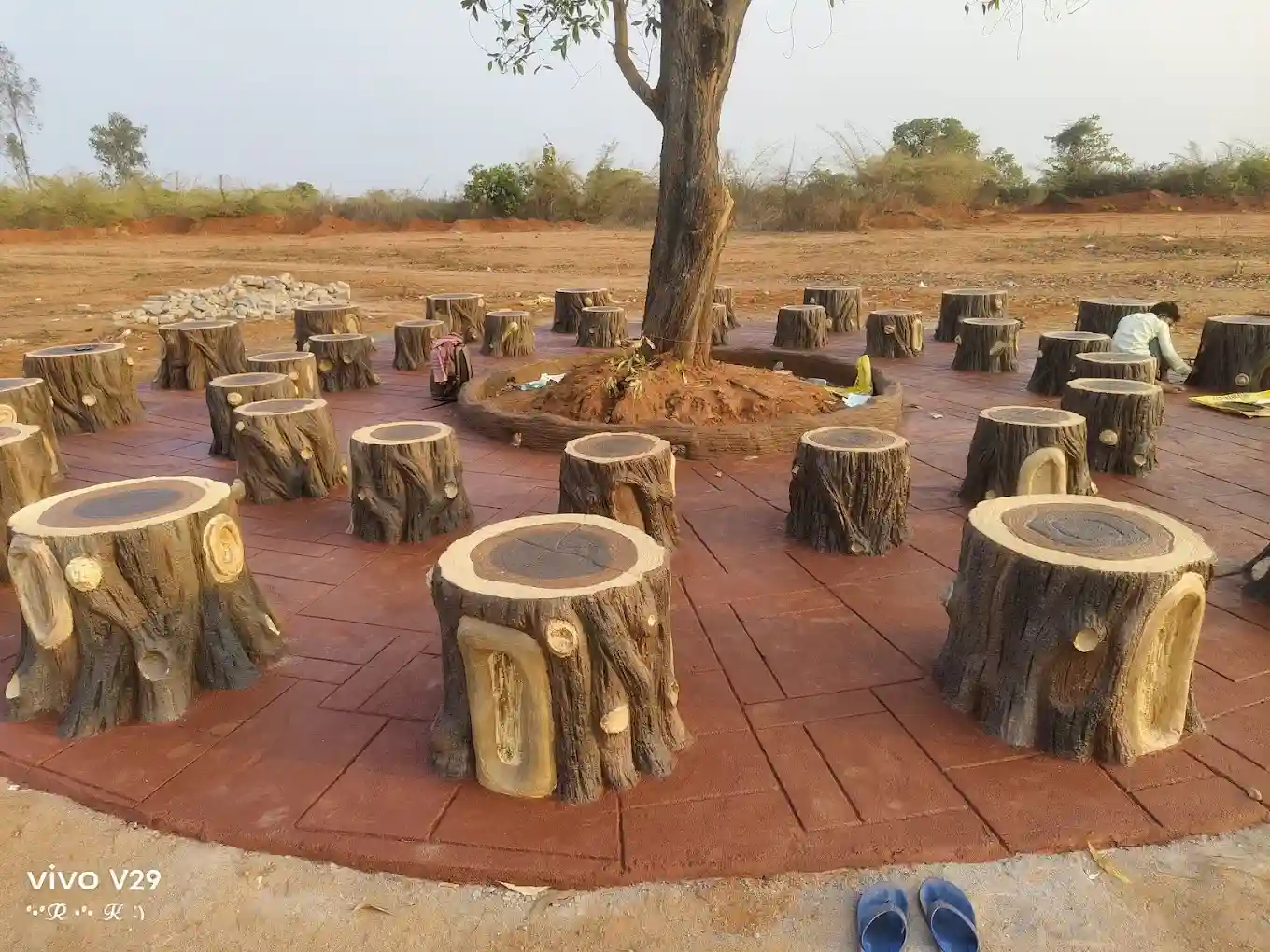 Ecological Diversity Park, Chakulia