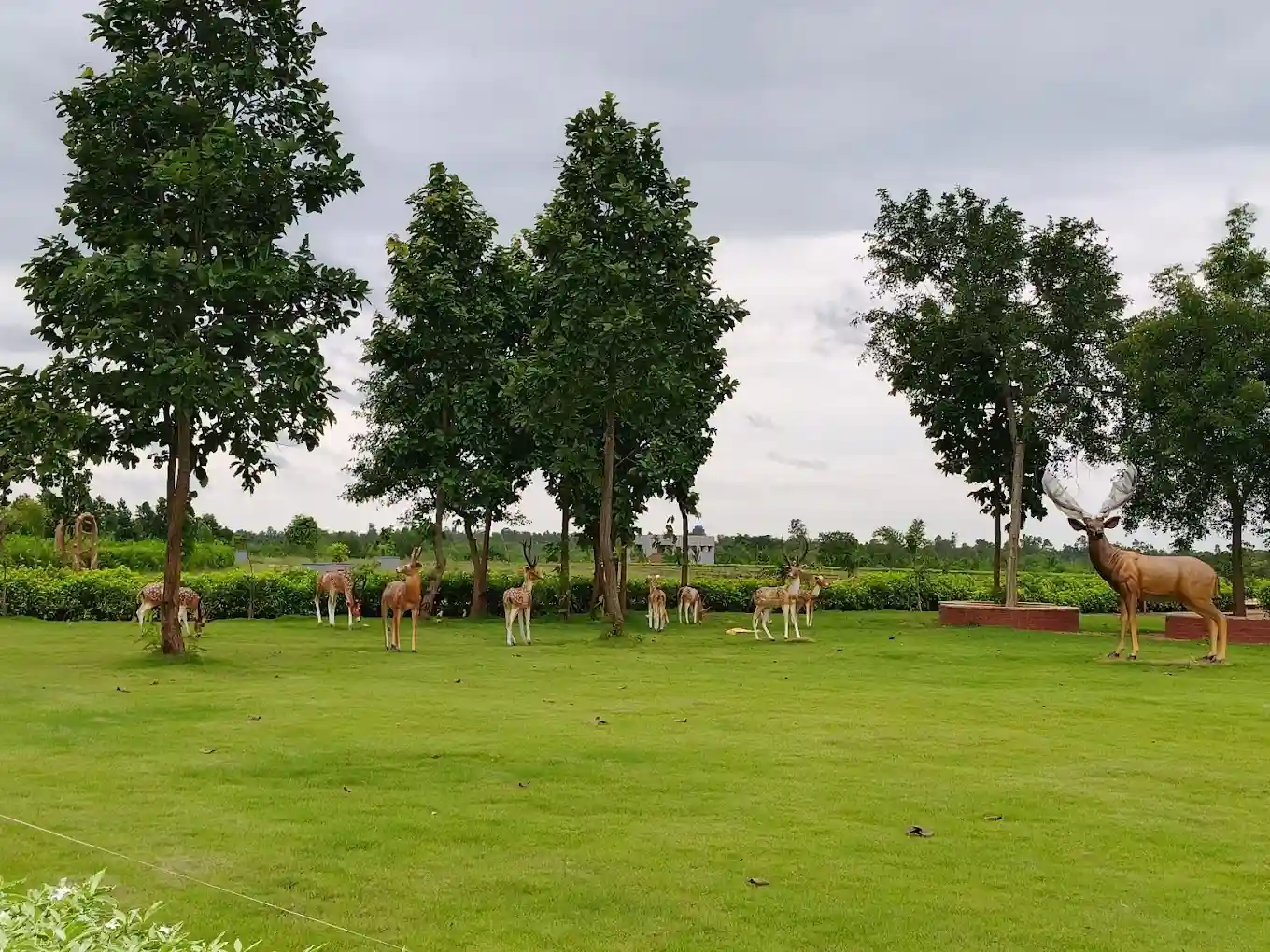 Ecological Diversity Park, Chakulia