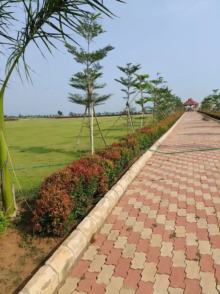 Ecological Diversity Park, Chakulia