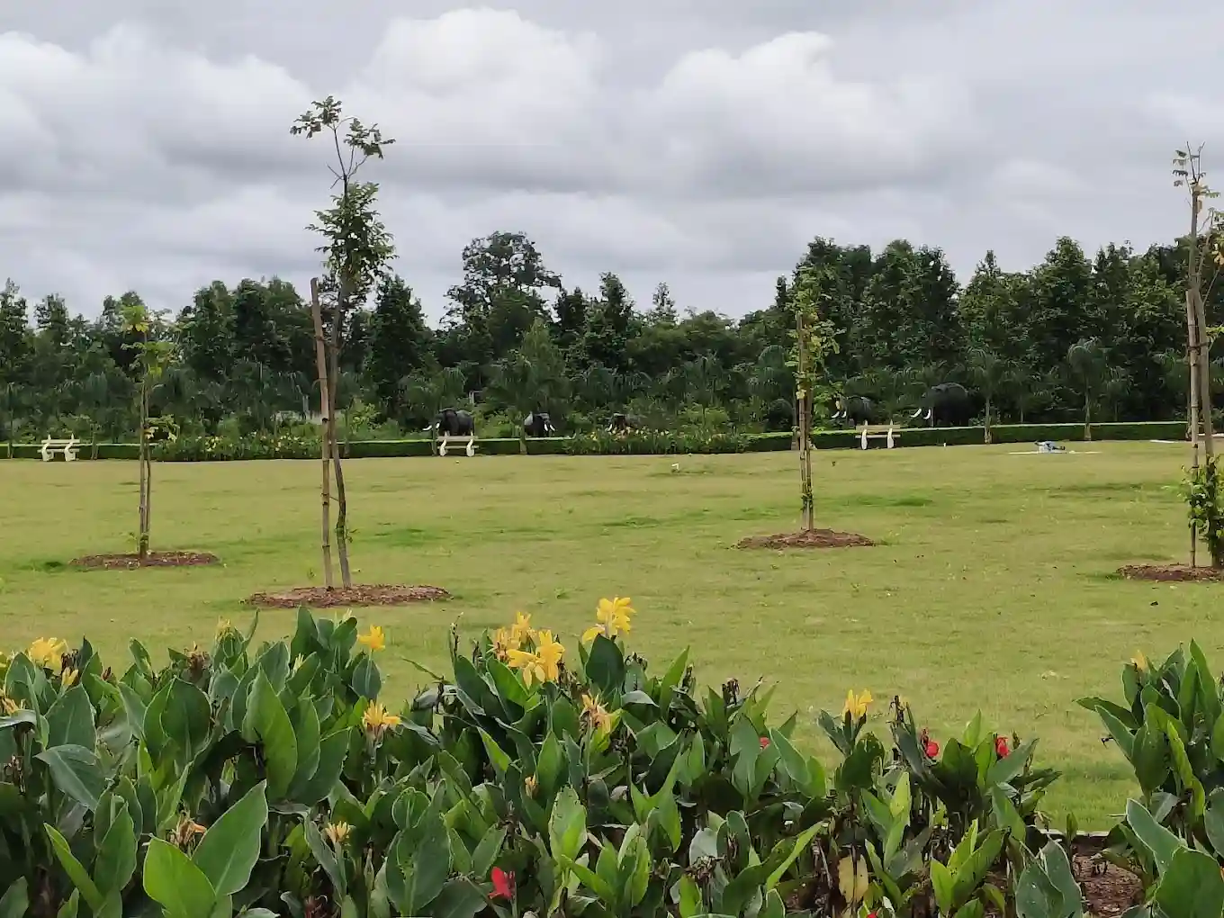 Ecological Diversity Park, Chakulia