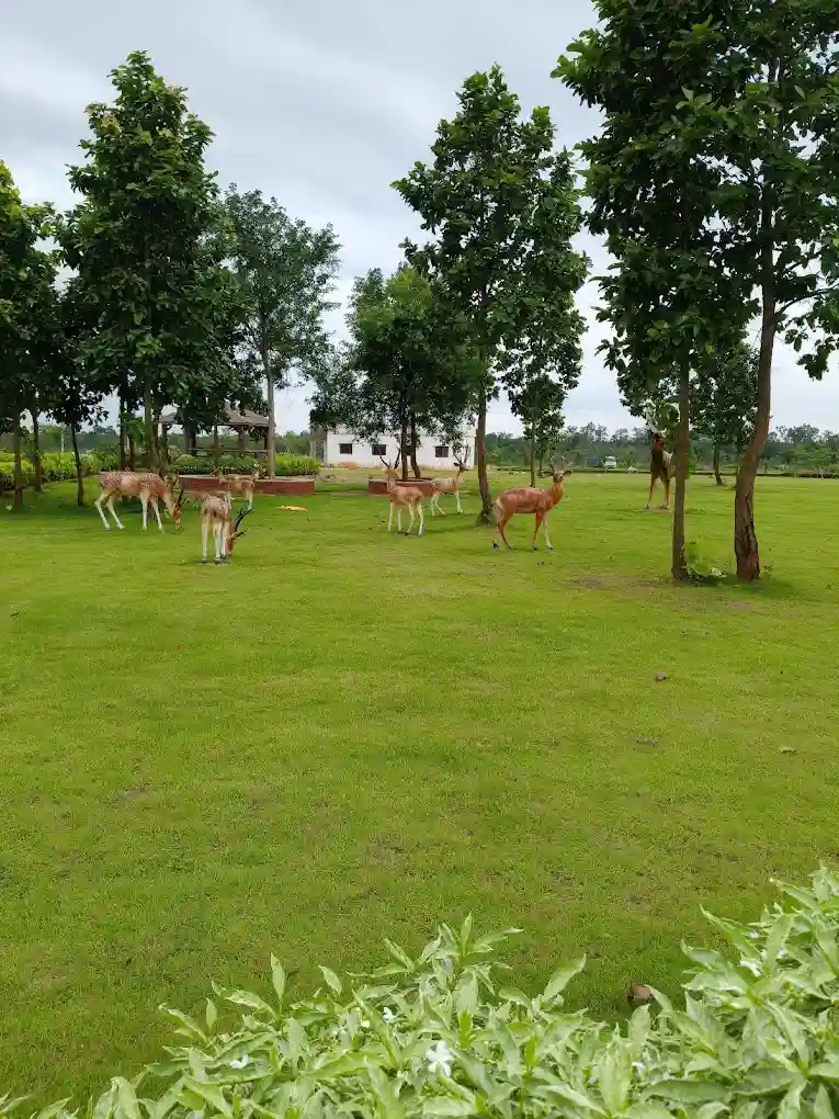 Ecological Diversity Park, Chakulia