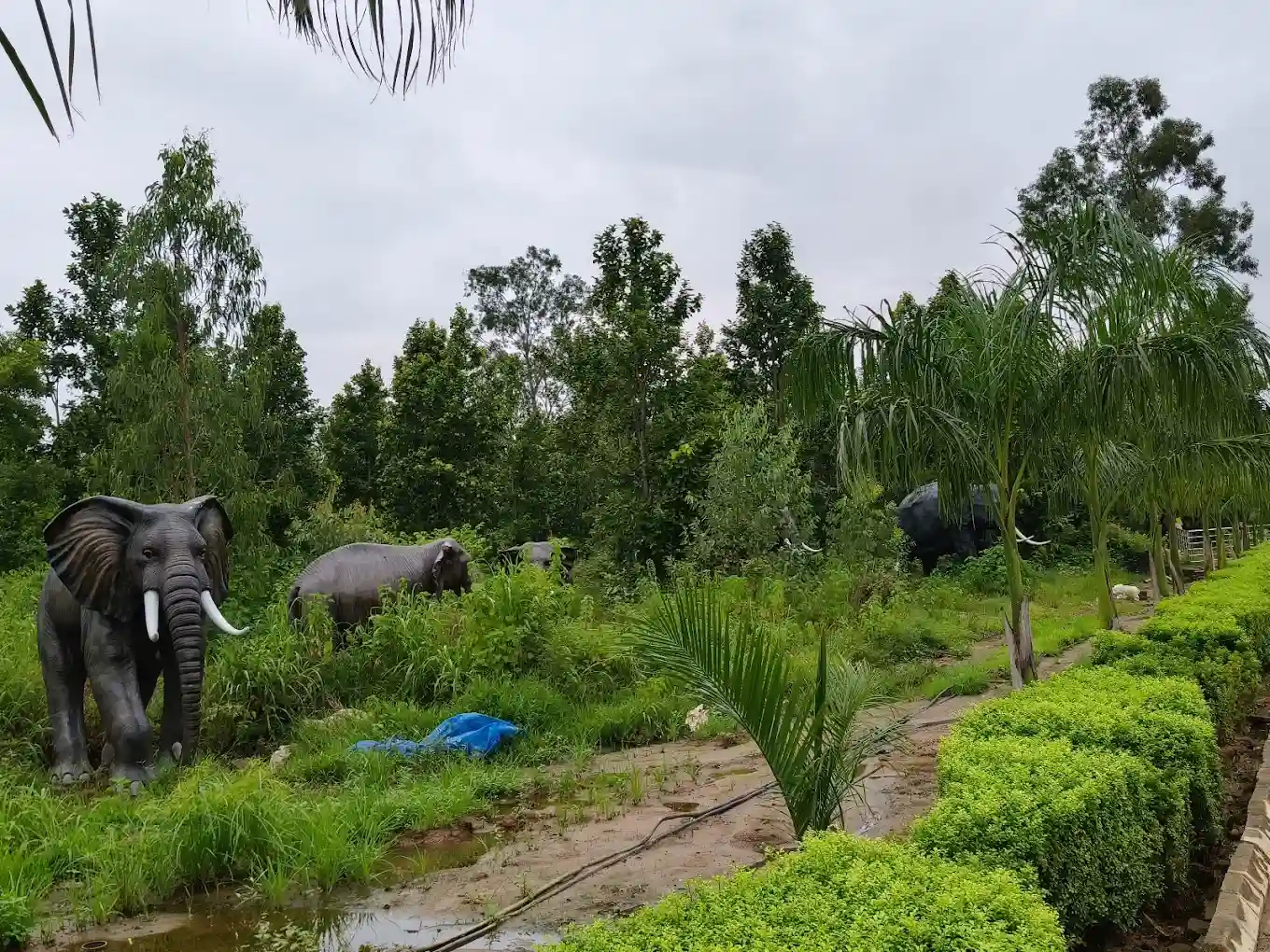 Ecological Diversity Park, Chakulia