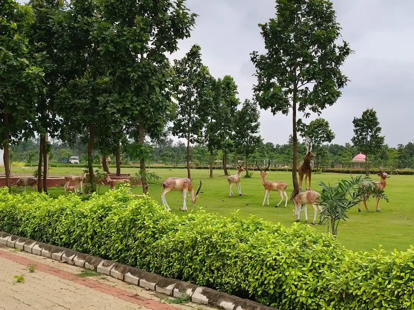 Ecological Diversity Park, Chakulia