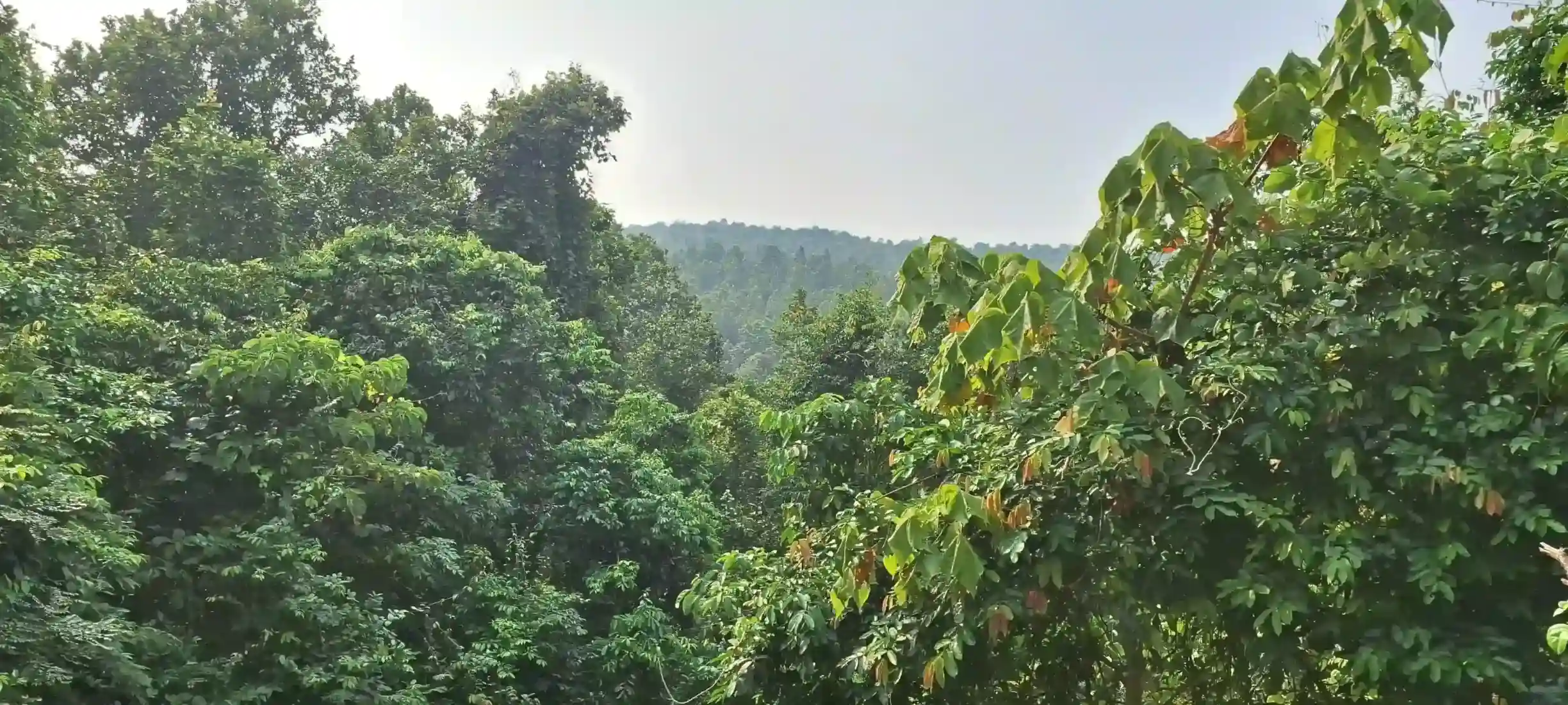 Ghagra Waterfall