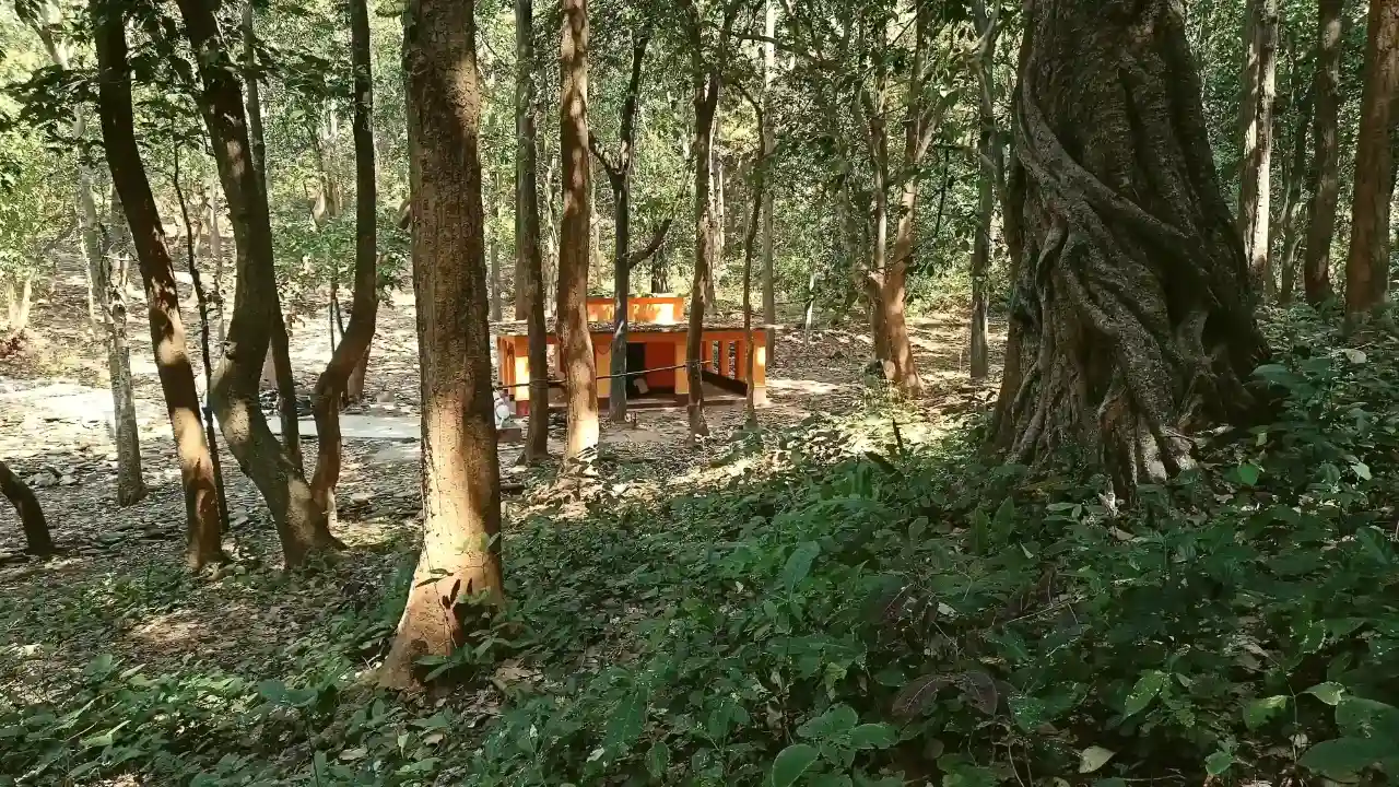 Ghagra Waterfall