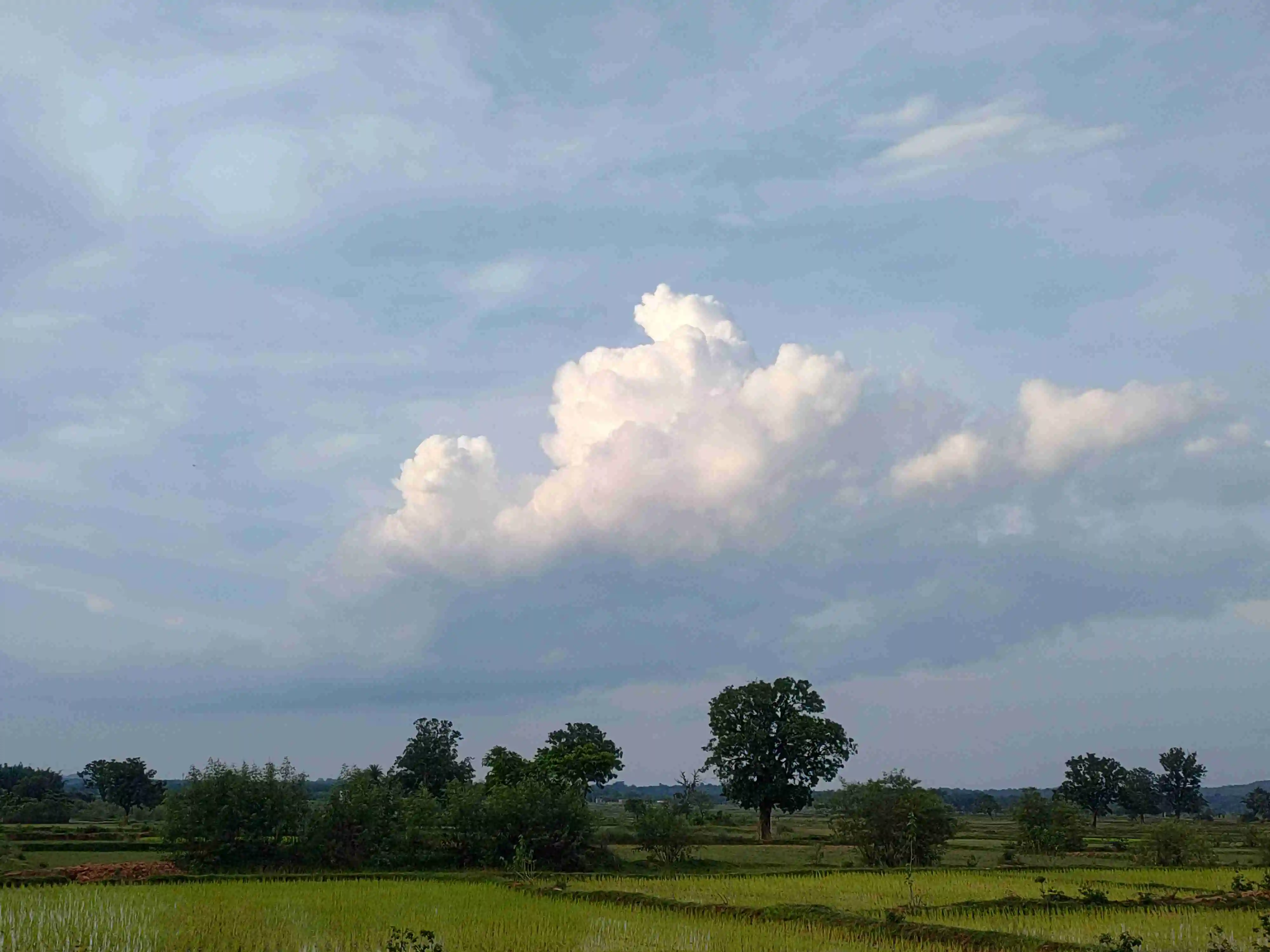 Nature