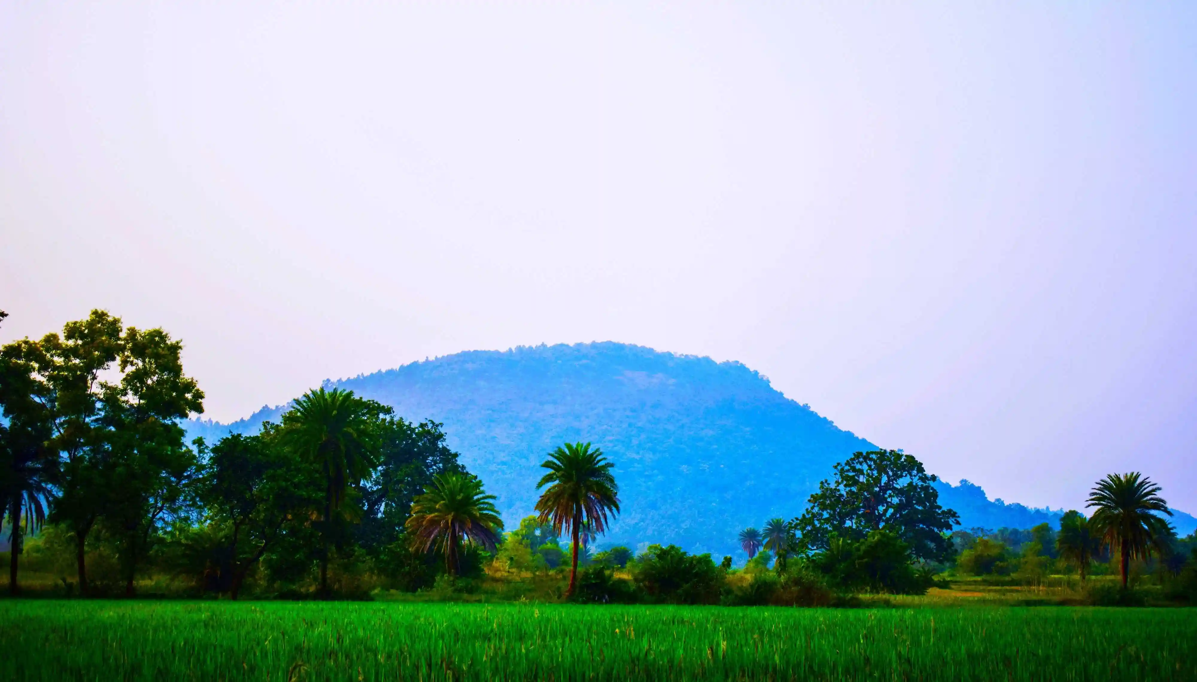 Kanaishwar Hill